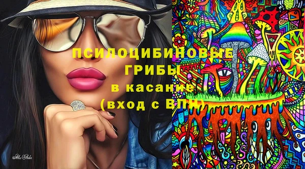 бутират Горнозаводск