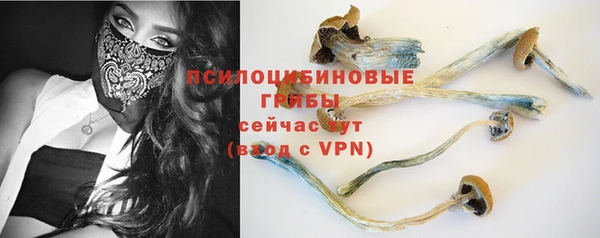прущие крисы Балахна