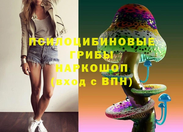 прущие крисы Балахна