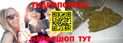 spice Кулебаки