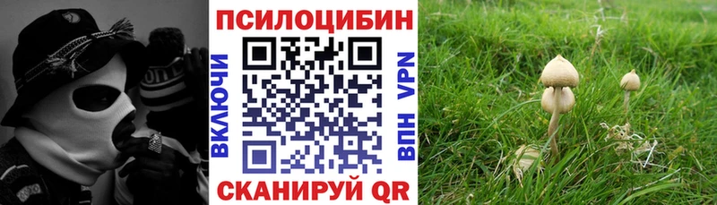 купить наркотики цена Семилуки Галлюциногенные грибы ЛСД