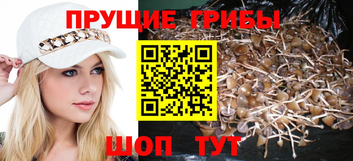 Псилоцибиновые грибы GOLDEN TEACHER  закладка  Семилуки  Вход с VPN 