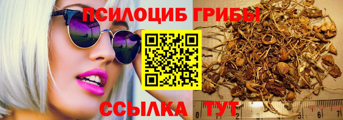 Галлюциногенные грибы Psilocybine cubensis Семилуки